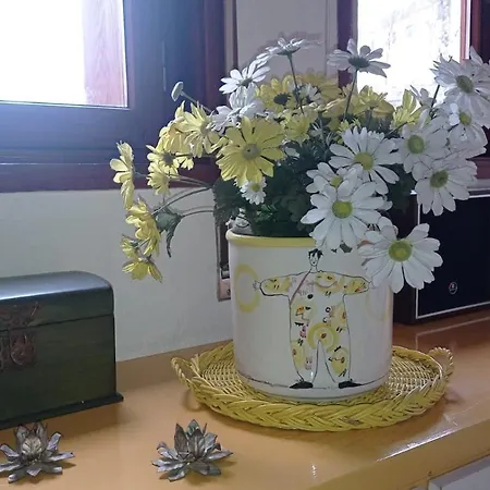 아파트 Pagoda Temu' 테무